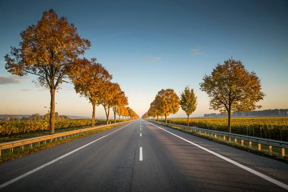 Photo by Karsten Würth on Unsplash