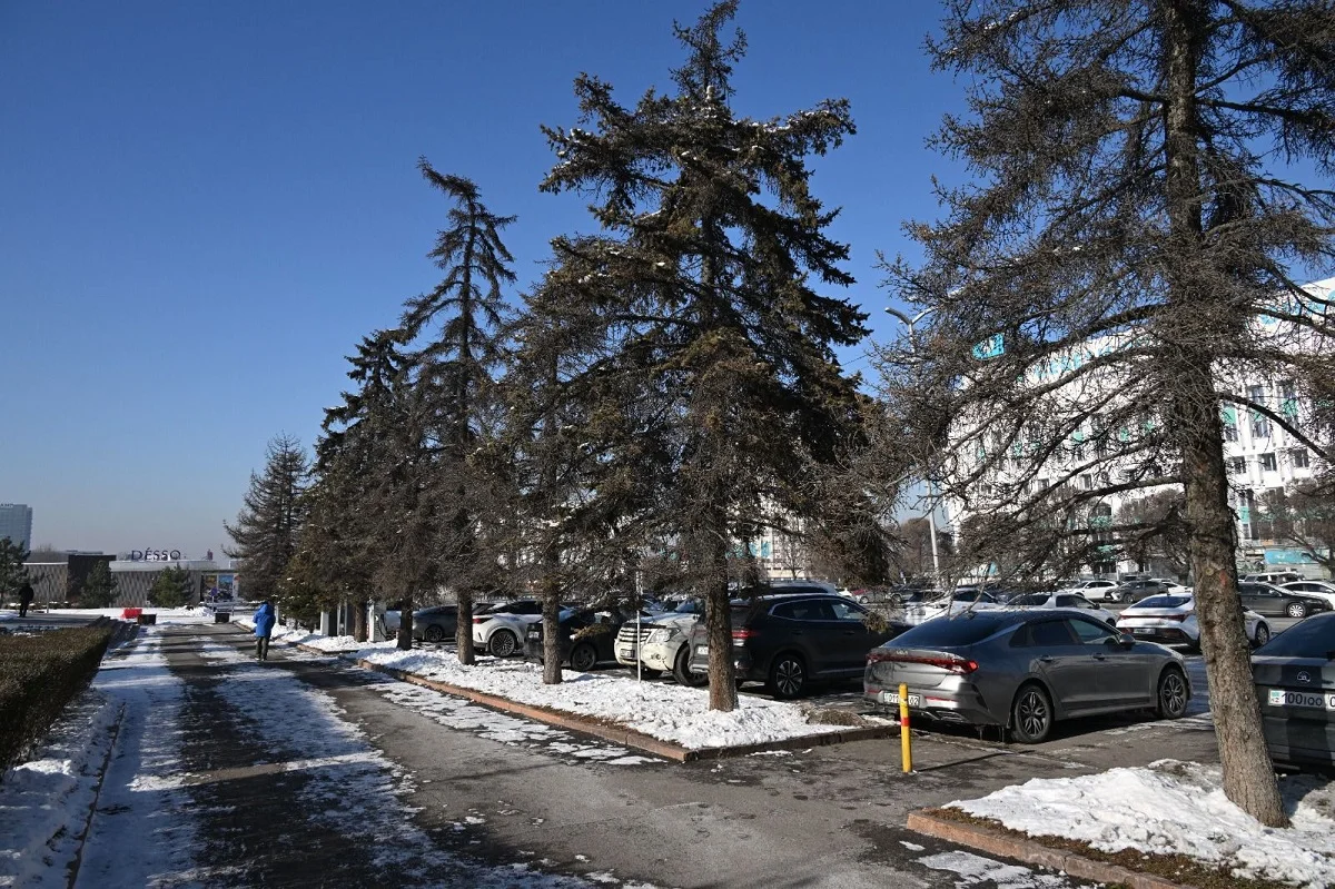 пресс-служба акима Алматы