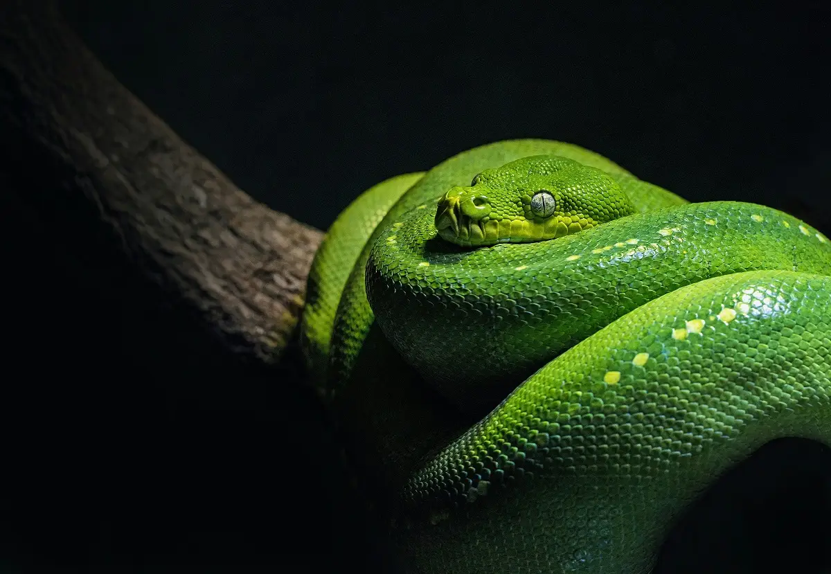 Photo by David Clode on Unsplash