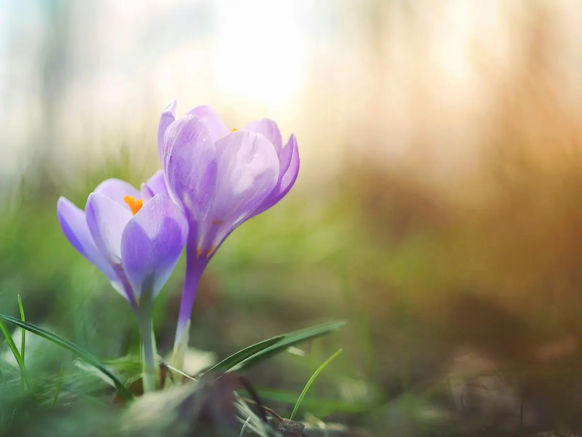Photo by Aaron Burden on Unsplash