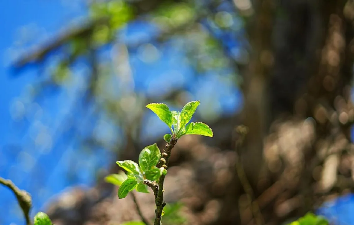 Алматы облысы әкімдігінің баспасөз қызметі