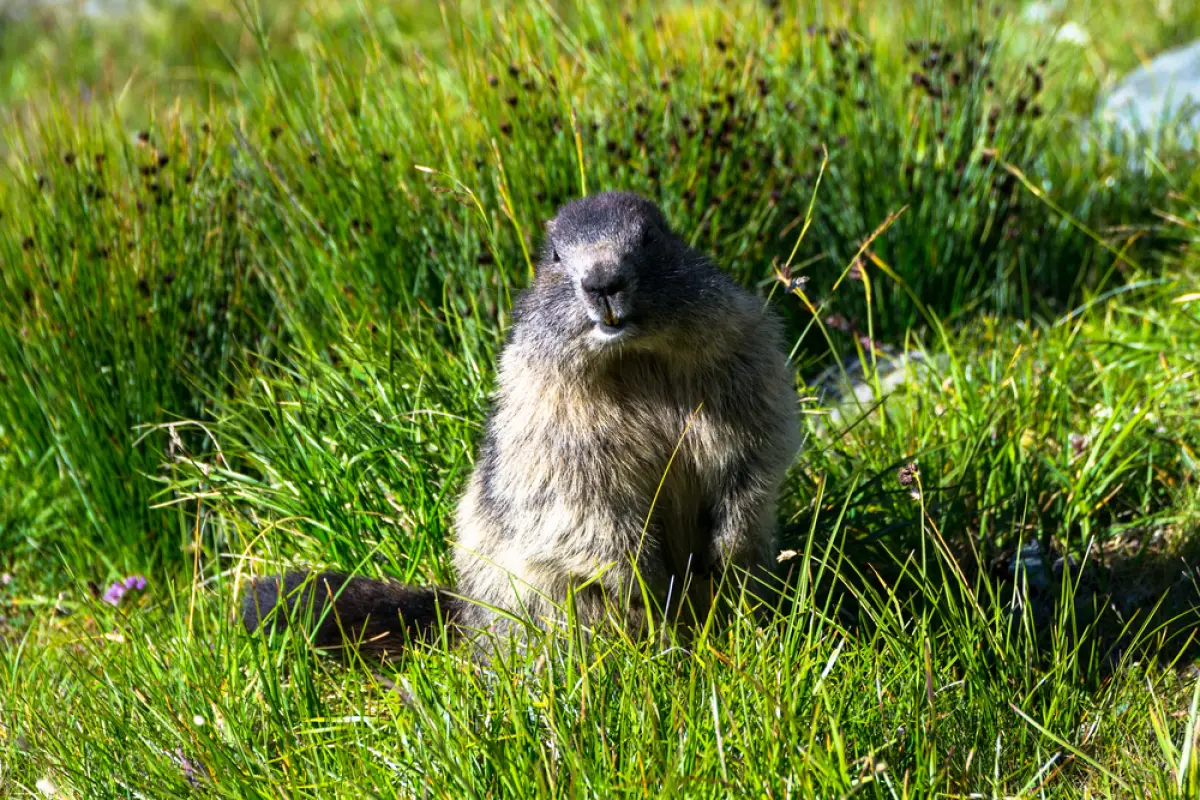 Фото: depositphotos.com