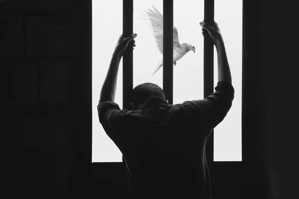 Photo by Hasan Almasi on Unsplash