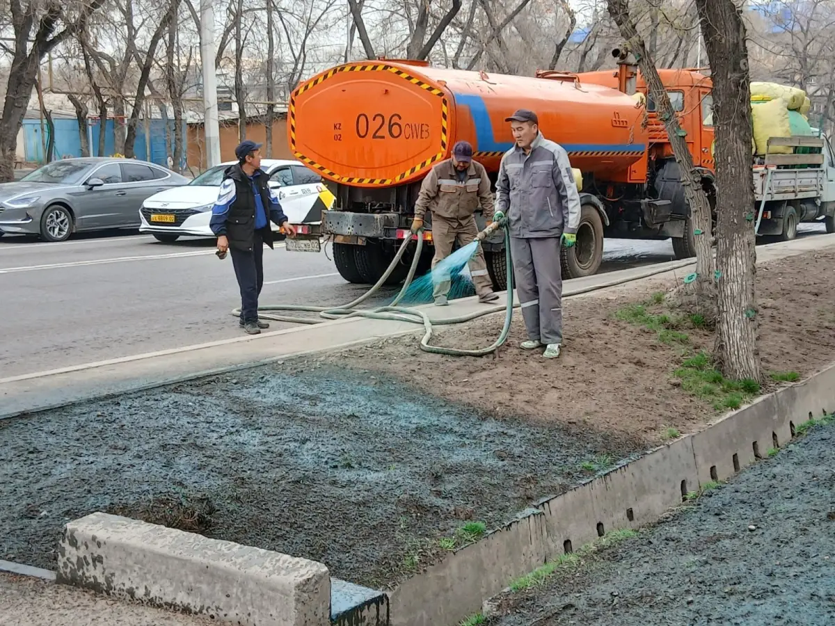 пресс-служба акима Алматы