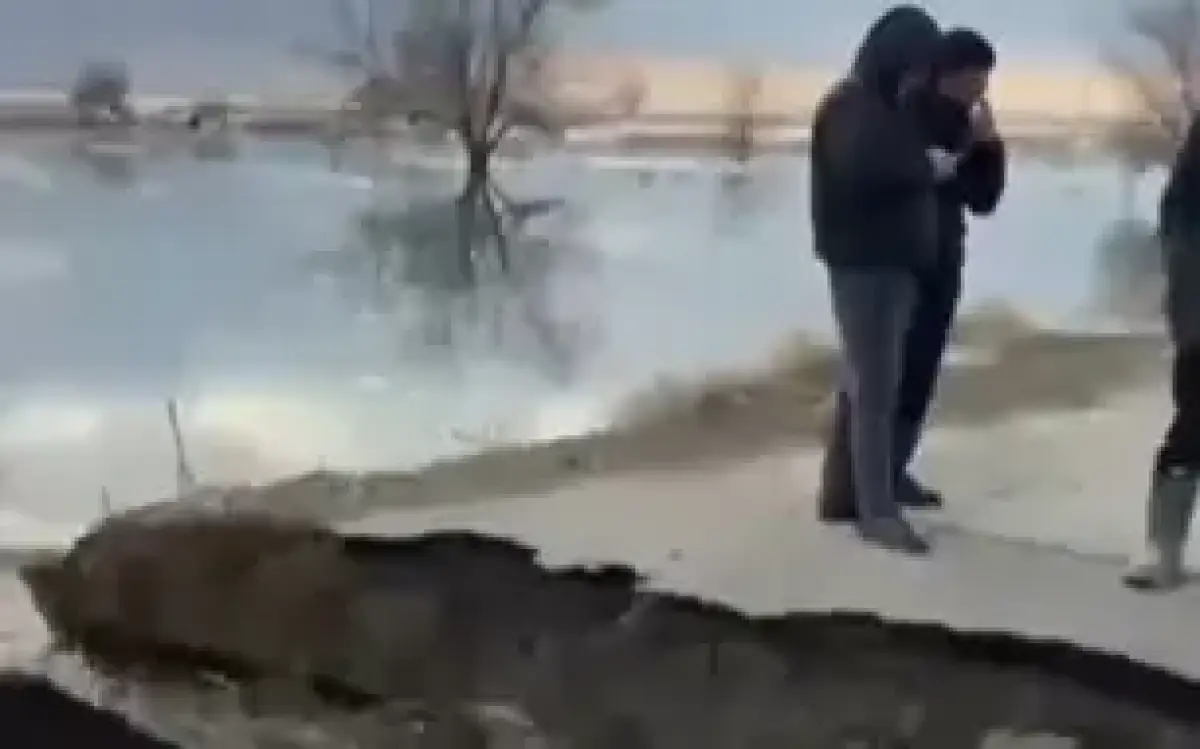 стоп кадр