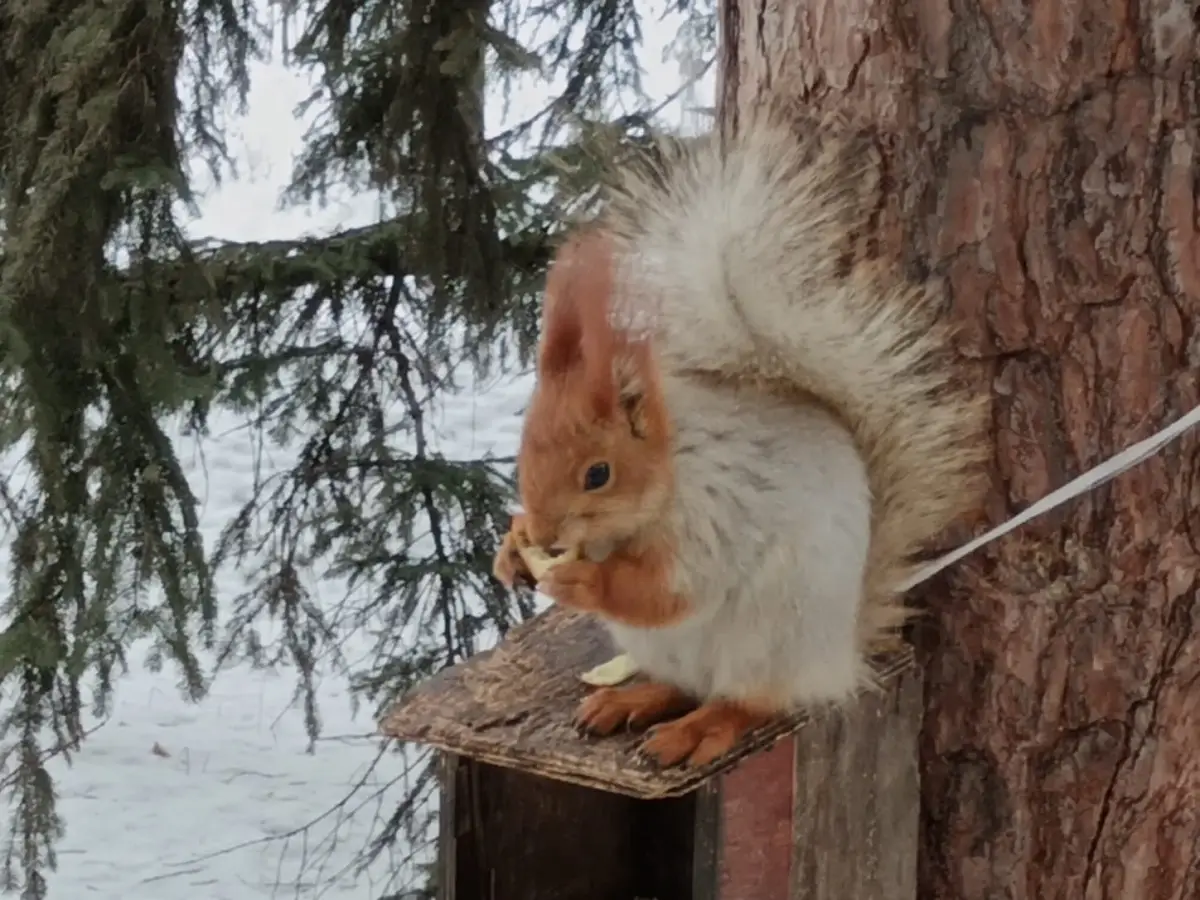 фото Victor Glutsenko