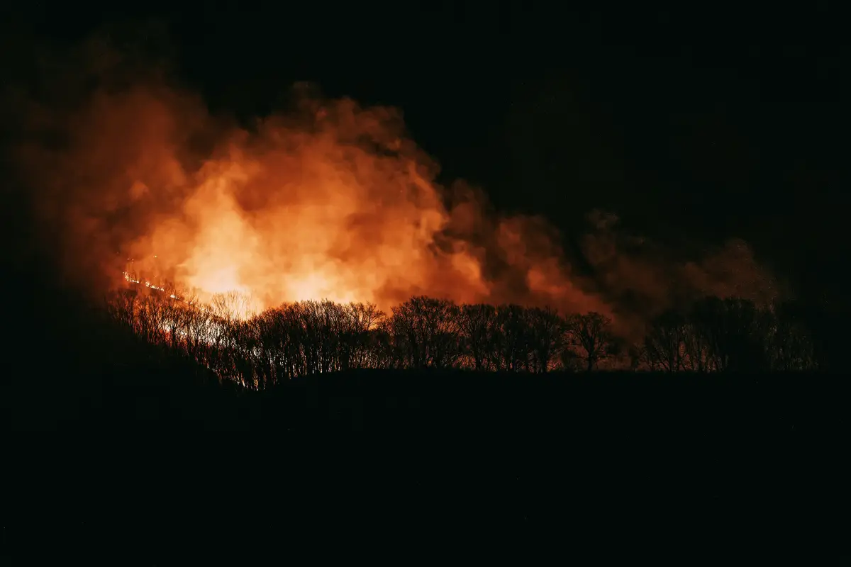 Олег Мороз/https://unsplash.com