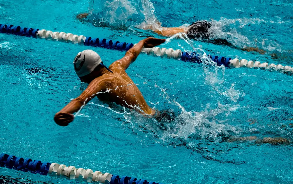 Photo by Richard R. Schünemann on Unspla