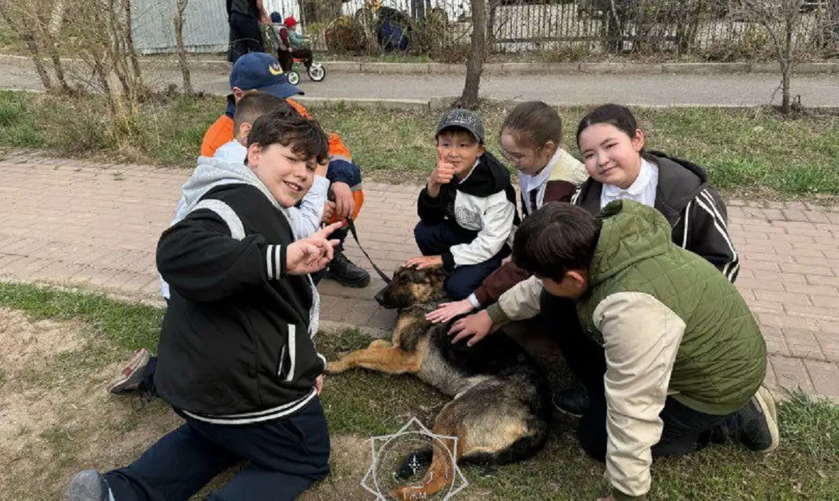 ТЖМ ресми телеграм каналы