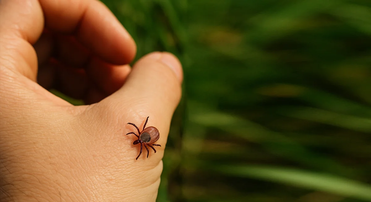 Сгенерировано ИИ