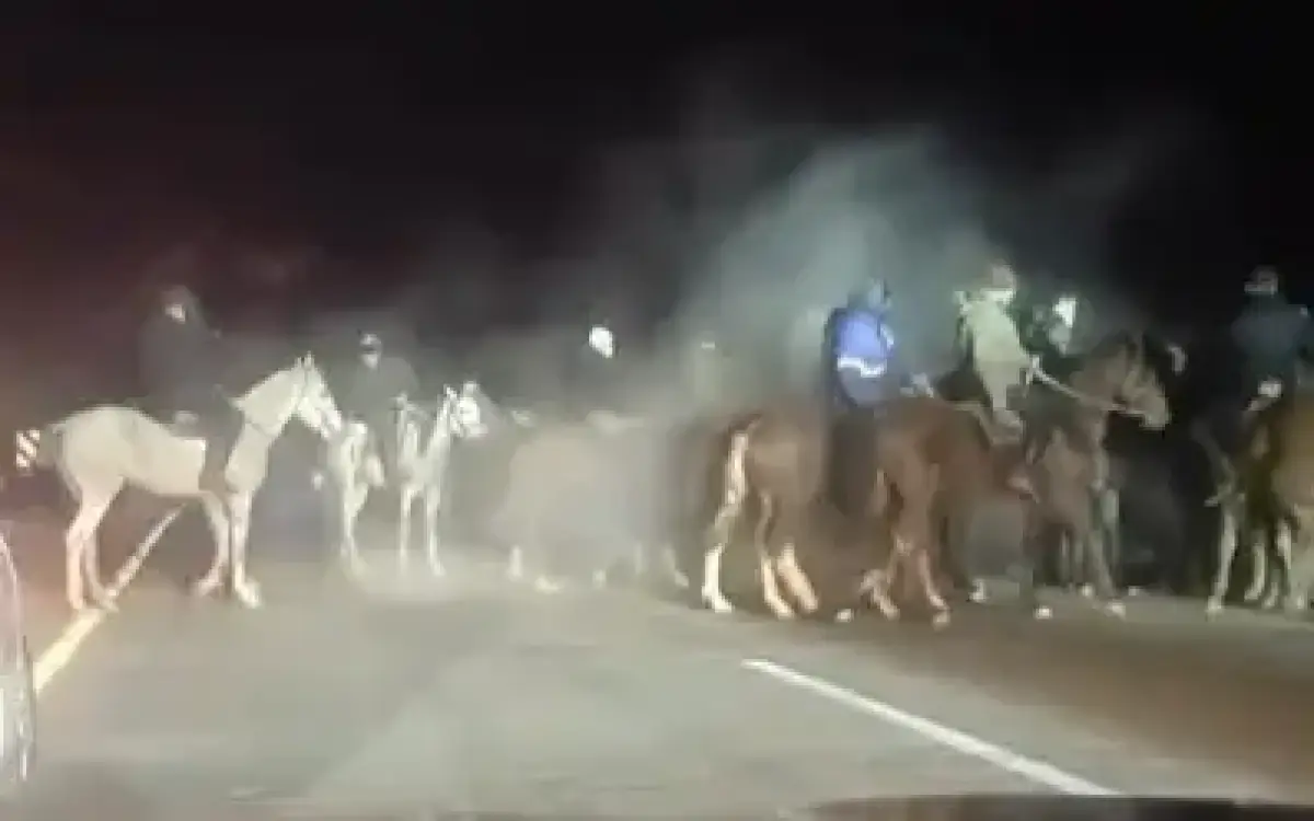 стоп кадр