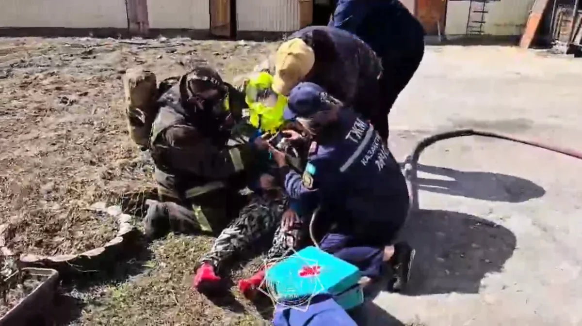 Видеодан кадр