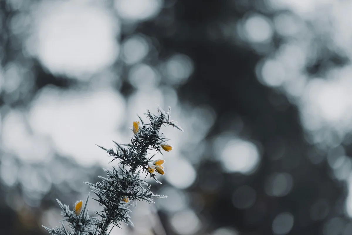 Annie Spratt/unsplash.com/