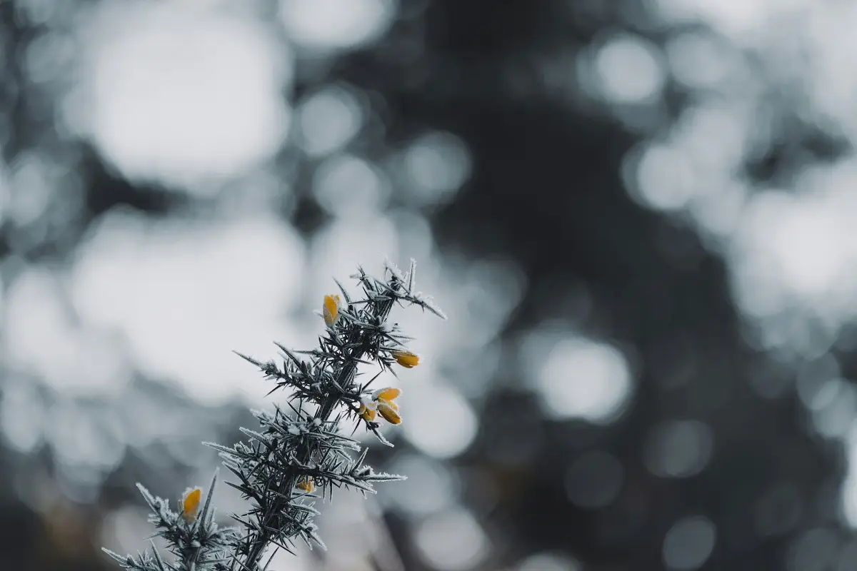 Annie Spratt/unsplash.com/