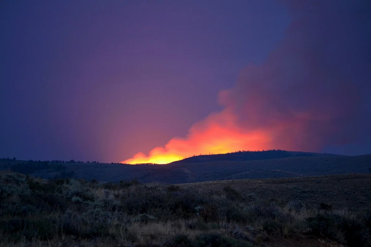 Dana Davis/unsplash.com/