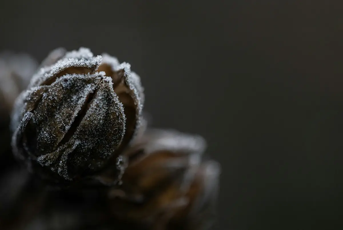 Dominik Scythe/unsplash.com/