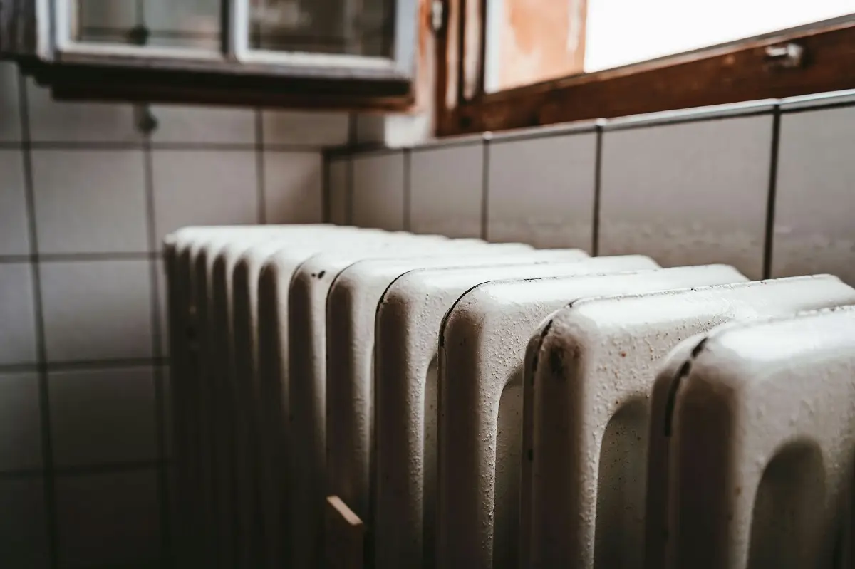 Photo by Julian Hochgesang on Unsplash