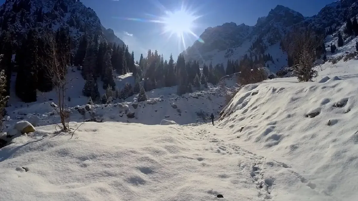 Фото: Victor Glutsenko Фото: Victor Glutsenko