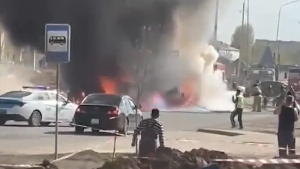 Видеодан кадр