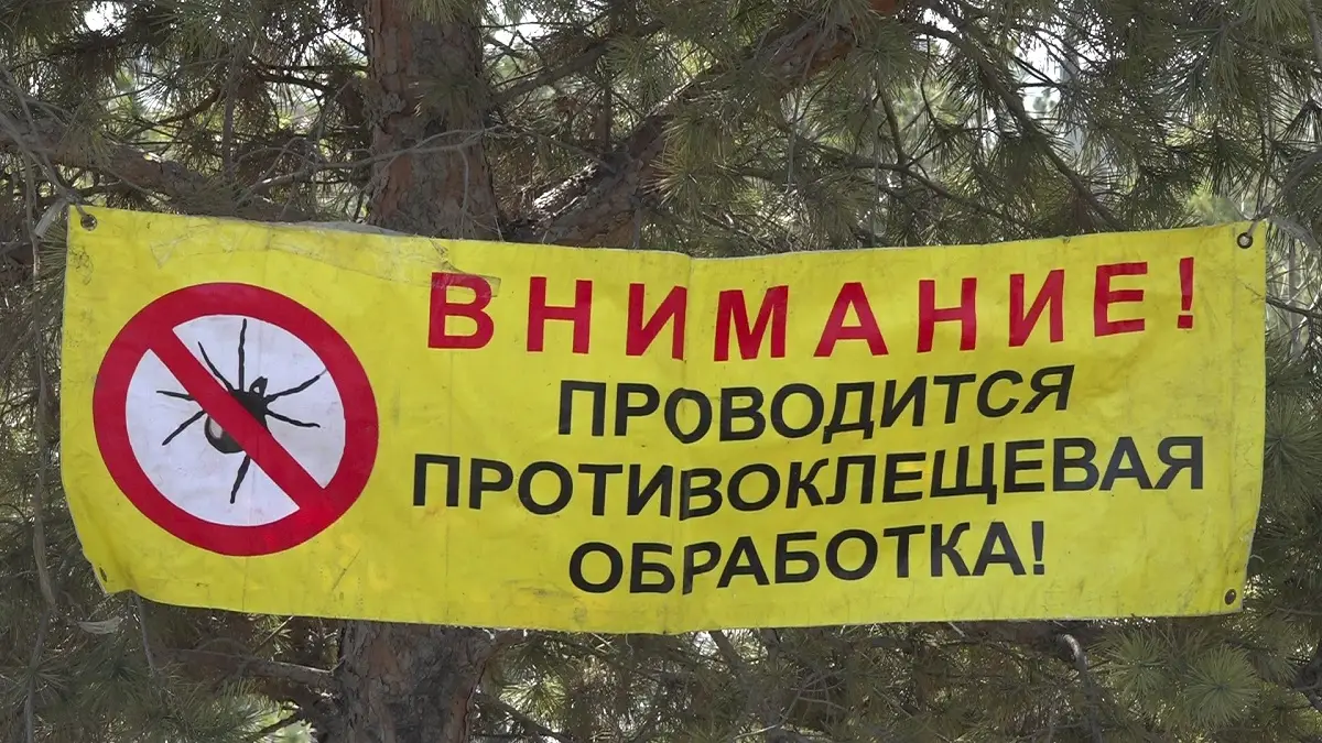 из архива Almaty.tv.