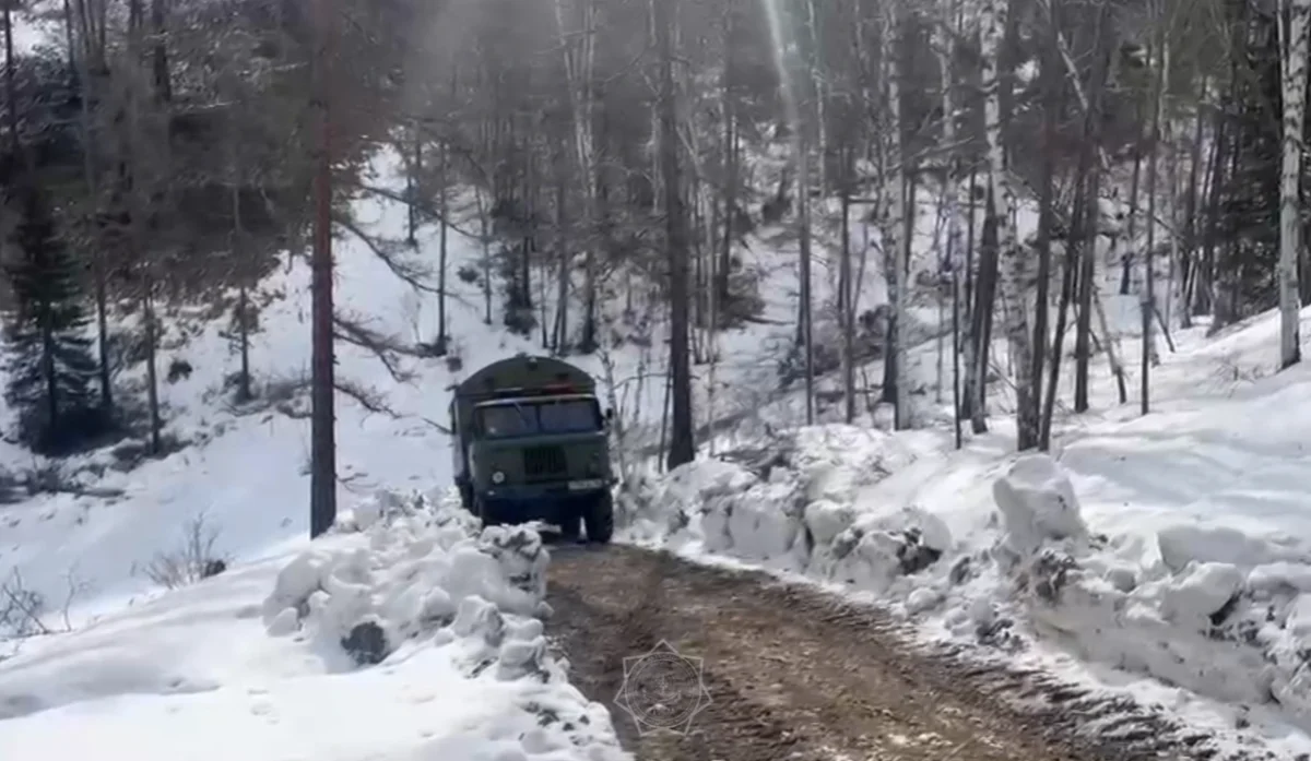 Видеодан кадр