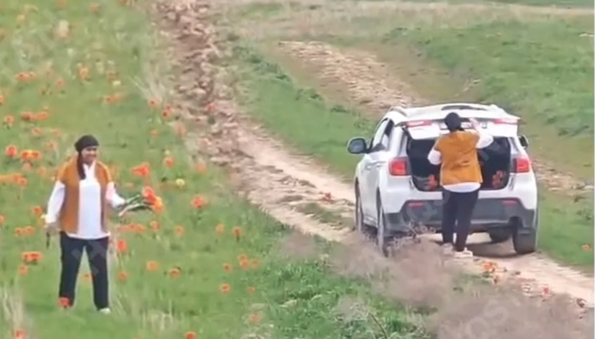 Кадр из видео