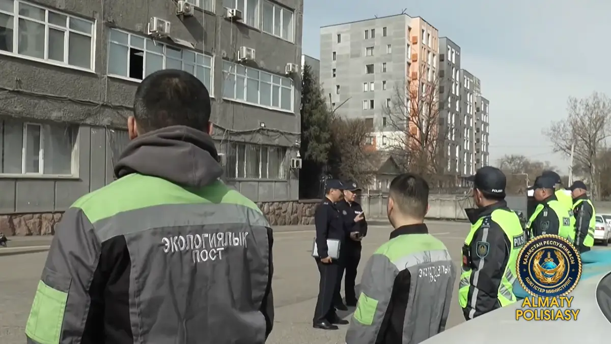 Видеодан кадр