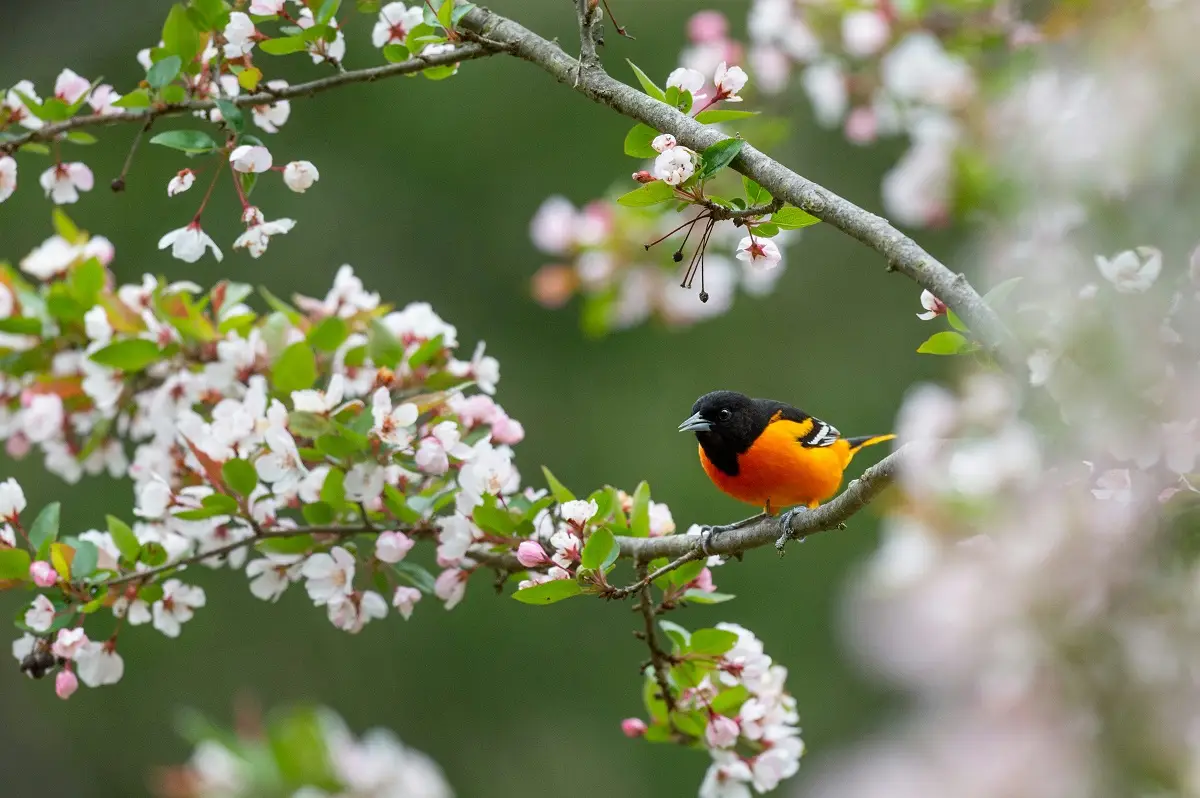 Photo by Ray Hennessy on Unsplash