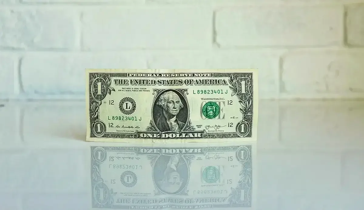 Фото: unsplash.com (Kenny Eliason)