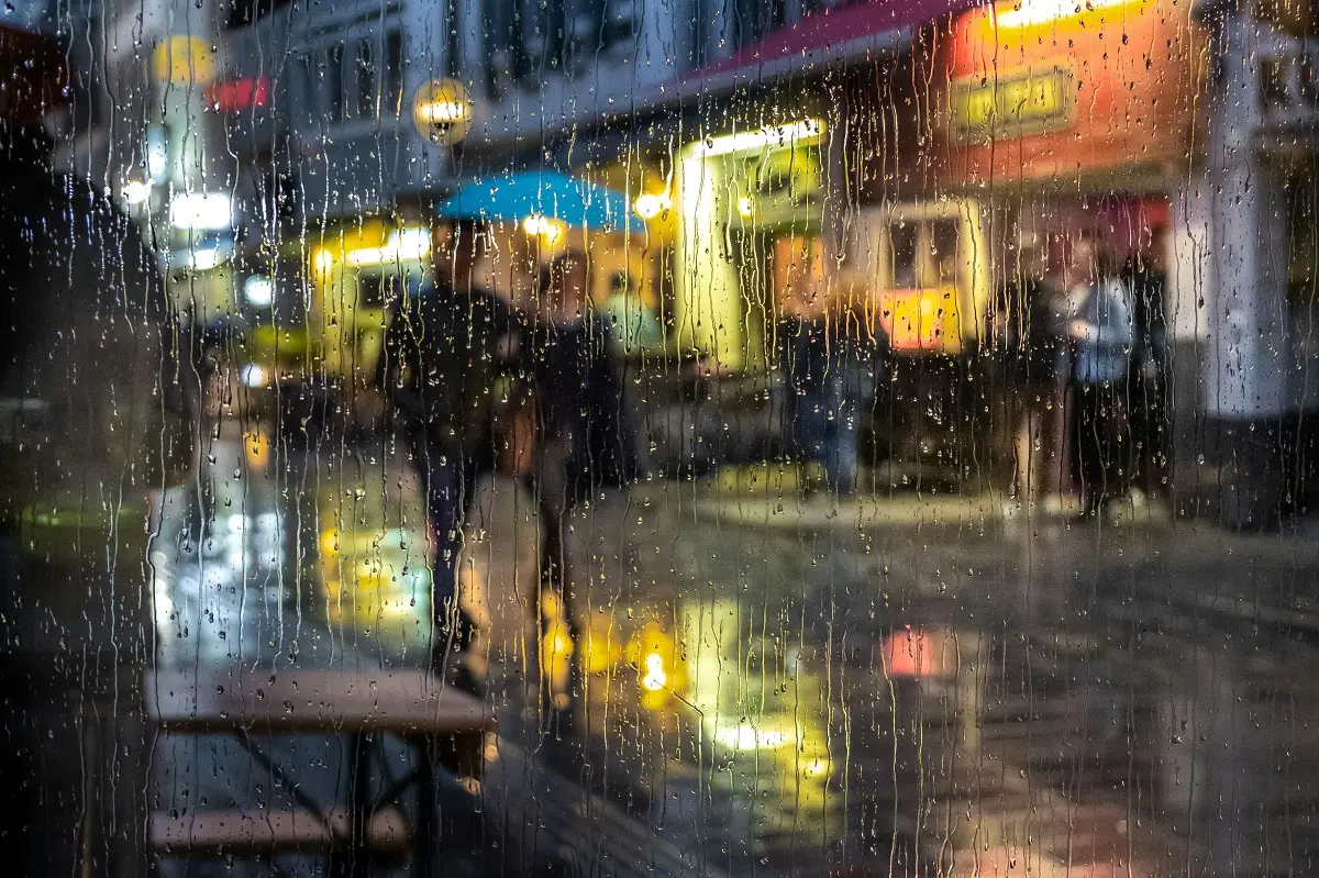 Photo by Gil Ribeiro on Unsplash