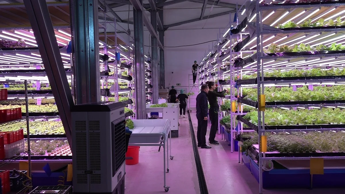 из архива Almaty.tv.