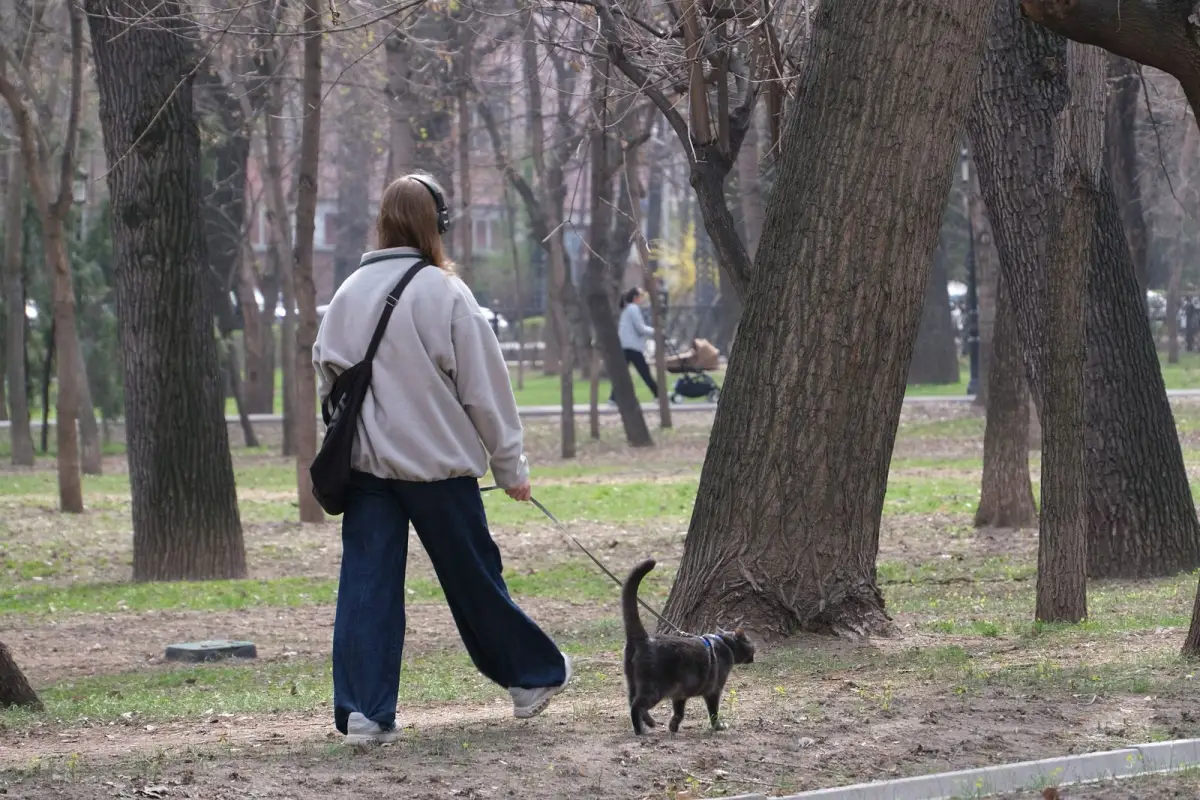 Қала әкімдігінің баспасөз қызметі