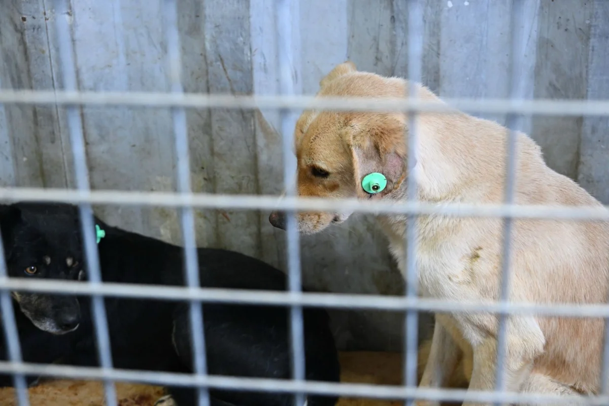 Қала әкімдігінің баспасөз қызметі