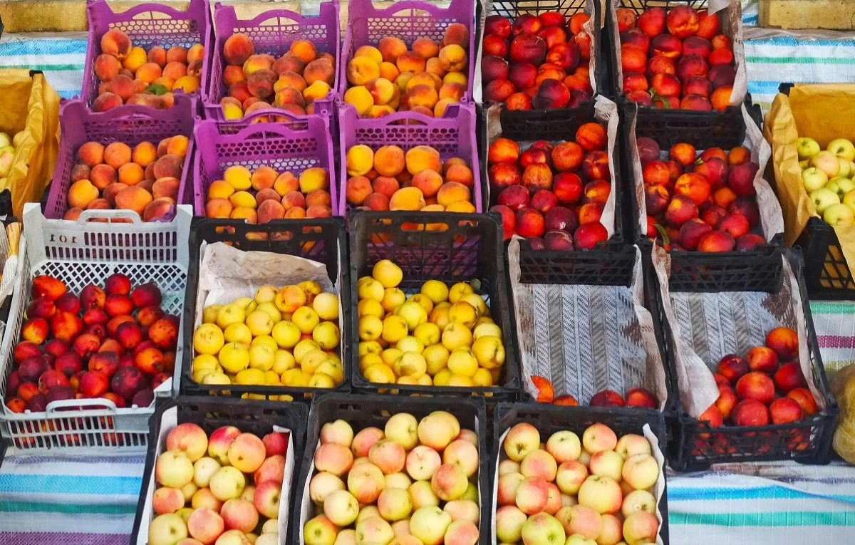 Photo by Rashed Paykary on Unsplash