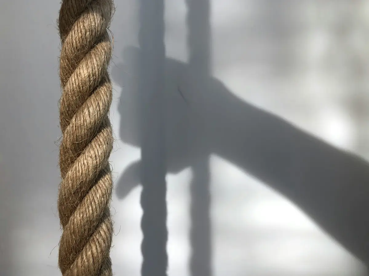 Photo by İpek Dükel on Unsplash