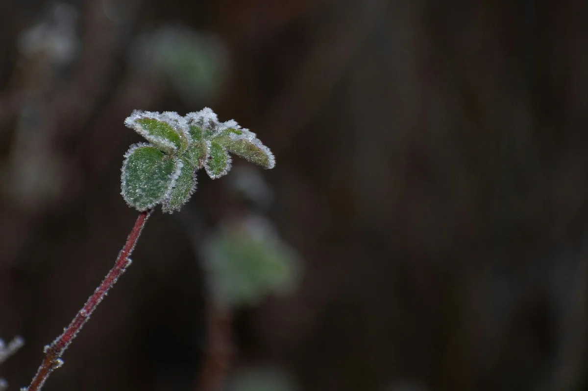 Elisa Stone/unsplash.com/