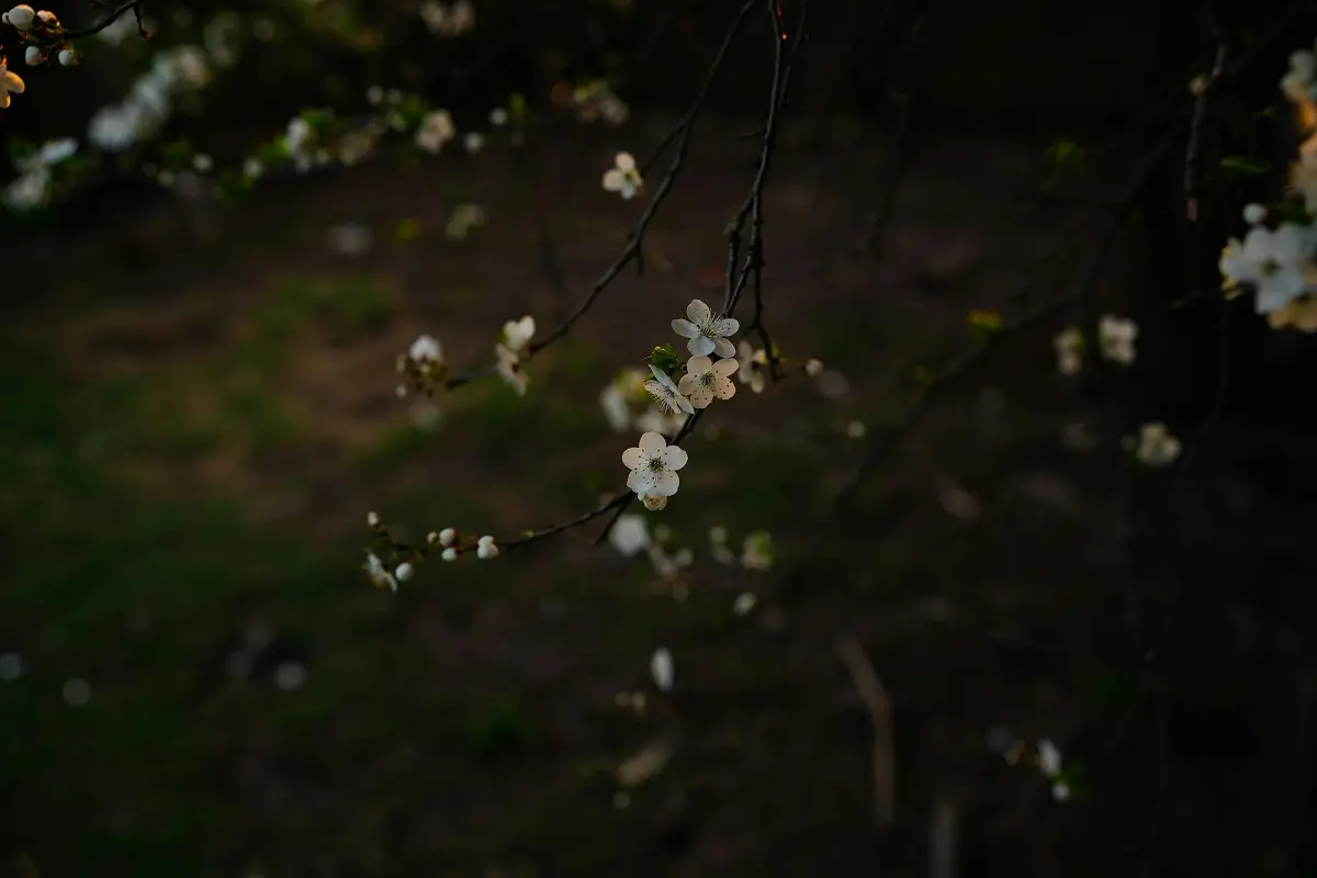 Irina Iriser/unsplash.com/