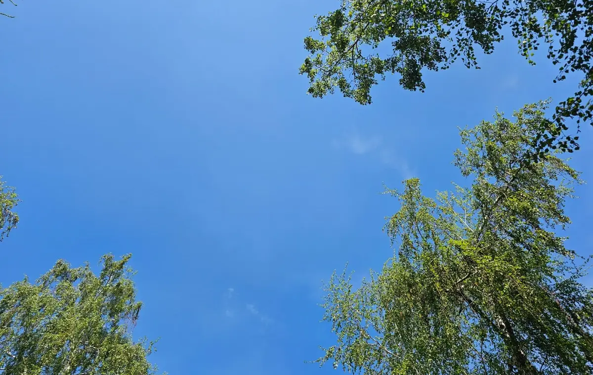 Foto: Mira Baibek