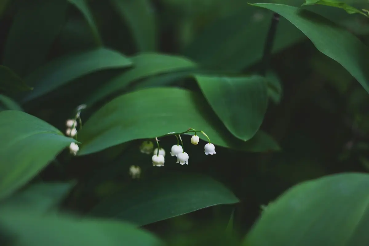 Photo by Mila Young on Unsplash