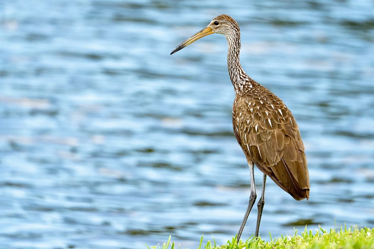 Photo by R.D. Smith on Unsplash