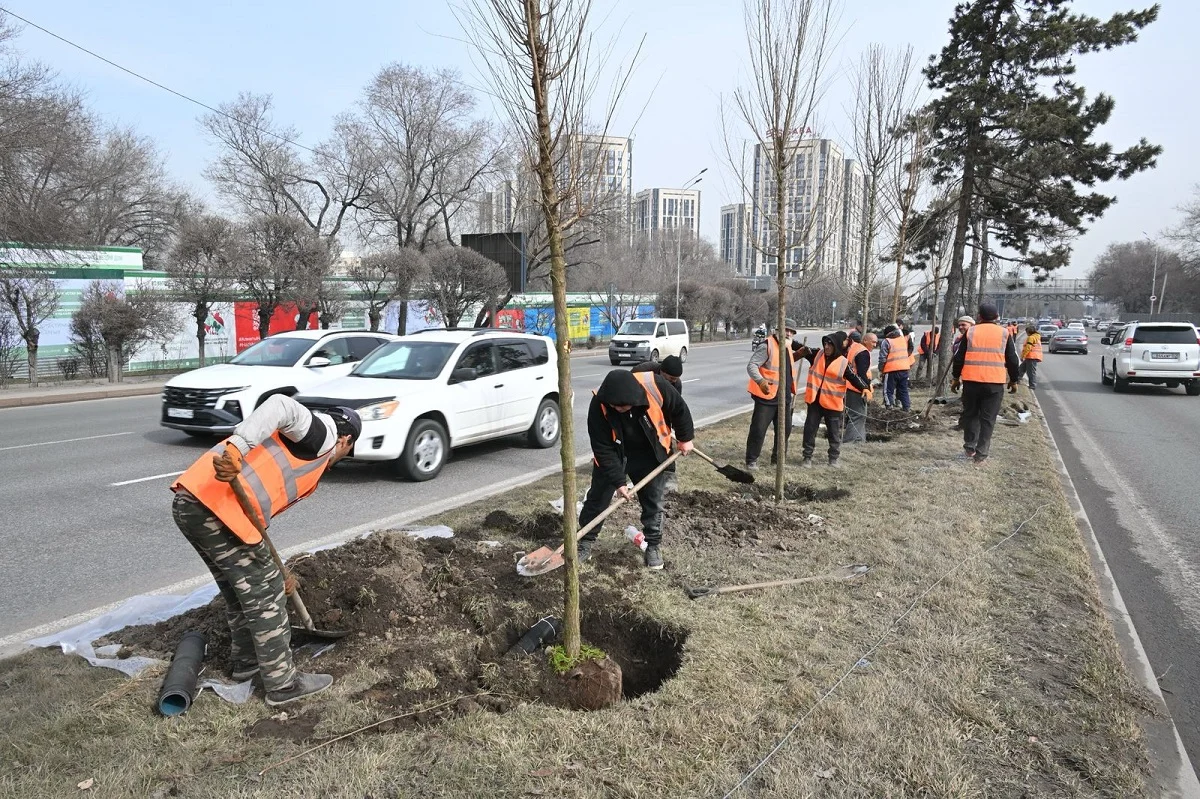 пресс-служба акима Алматы