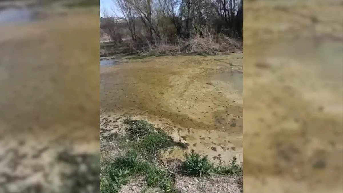 Фото видеодан алынды