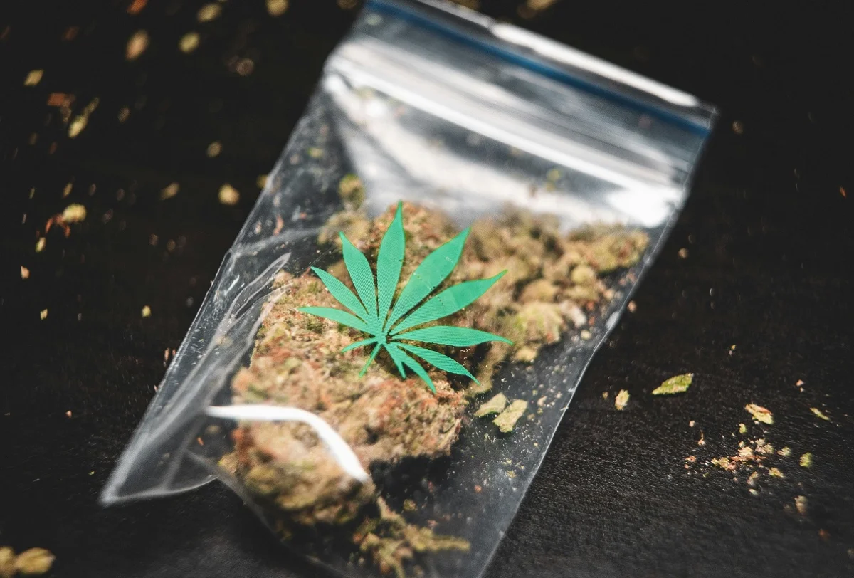 GRAS GRÜN/ unsplash.com/