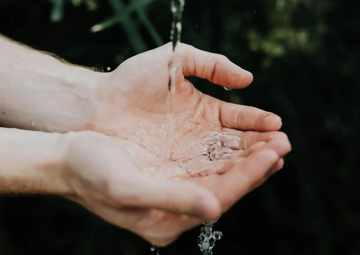 Photo by Austin Kehmeier on Unsplash