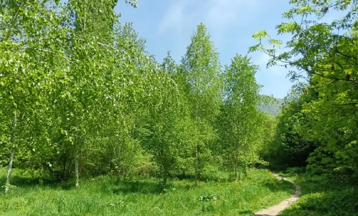 фото Victor Glutsenko