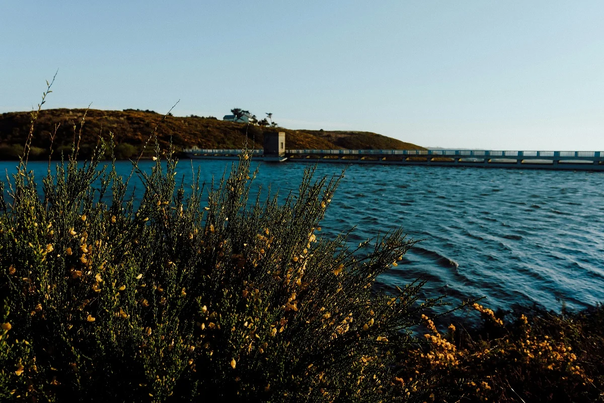 Luke Moss/unsplash.com/