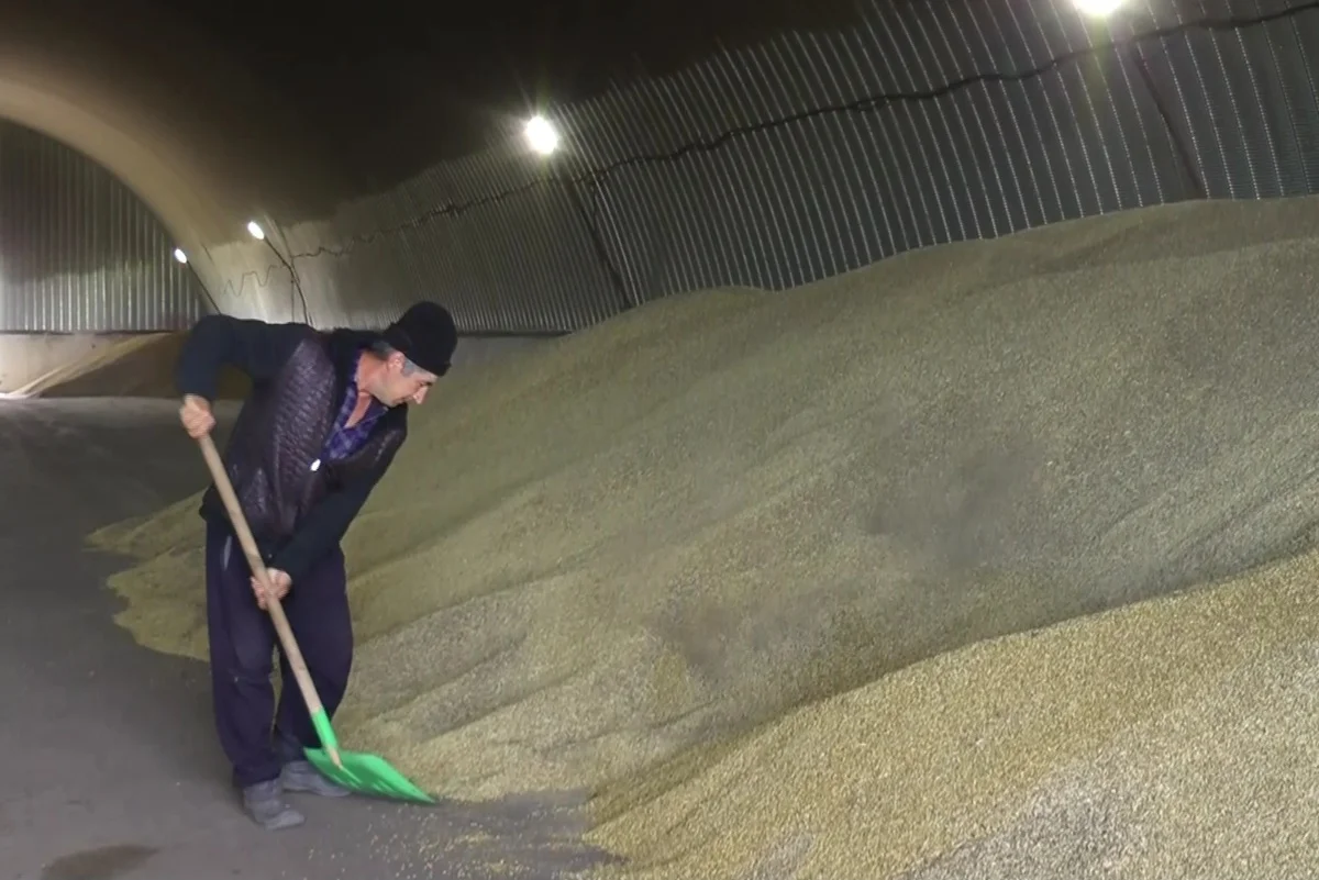 из архива Almaty.tv.