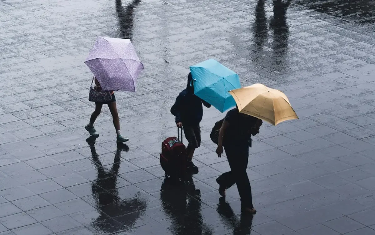 Photo by Ryoji Iwata on Unsplash