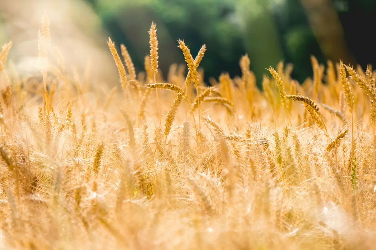 Photo by Stephen Radford on Unsplash