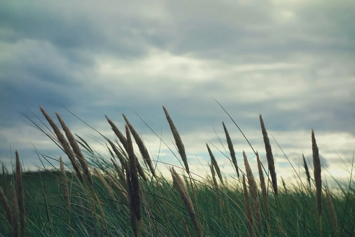 Photo by Cerys Lowe on Unsplash